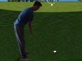遊戲Flash Golf 3D