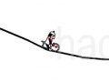 遊戲Line Rider