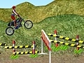 遊戲Motorcycle Rally
