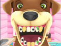 遊戲Animal Dentist 