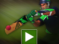 遊戲Cricket Batter Challenge