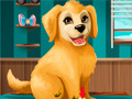 遊戲Become a Puppy Groomer