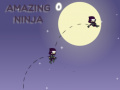 遊戲Amazing Ninja