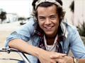 遊戲Harry Styles Spot the Difference