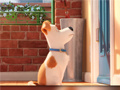 遊戲Hidden Letters in The Secret Life of Pets