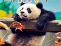 遊戲Animal Habitats: Find Items