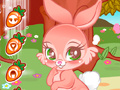 遊戲Cute Bunny