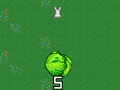 遊戲Cabbage Run