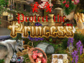 遊戲Protect the Princess