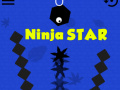 遊戲Ninja Star