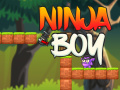 遊戲Ninja Boy