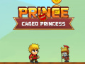 遊戲Prince and Caged Princess  