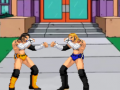 遊戲Pro Fighting Combat