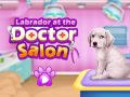 遊戲Labrador at the doctor salon    