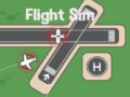 遊戲Flight Sim