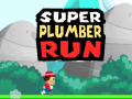 遊戲Super Plumber Run