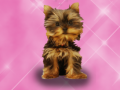 遊戲Wash Pets Princess Kids    