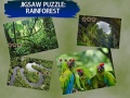 遊戲Jigsaw Puzzle Rain Forest 