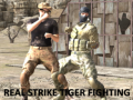 遊戲Real Strike Tiger Fighting