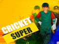 遊戲Super Cricket      