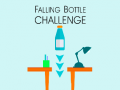 遊戲Falling Bottle Challenge