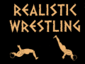 遊戲Realistic wrestling