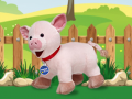 遊戲Catch The Pig