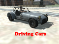 遊戲Driving Cars