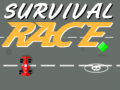 遊戲Survival Race