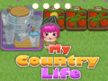 遊戲My County Life