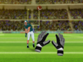 遊戲American Football Challenge