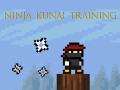 遊戲Ninja Kunai Training