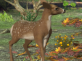 遊戲Spot The differences Spring in the Woods
