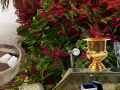 遊戲The Prize Winning Garden