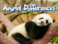 遊戲Animal Differences 