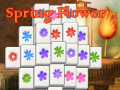 遊戲Spring Flower