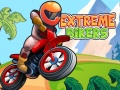 遊戲Extreme Bikers