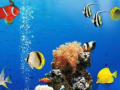 遊戲Sea Underwater Difference