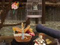 遊戲Unknown Island