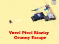 遊戲Voxel Pixel Blocky Granny Escape