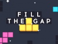 遊戲Fill the Gap
