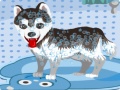 遊戲My Cute Dog Bathing