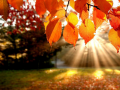 遊戲Jigsaw Puzzle: Autumn