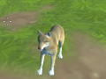 遊戲Wolf Simulator