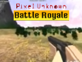 遊戲Pixel Unknown Battle Royale