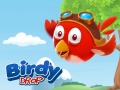遊戲Birdy Drop