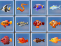 遊戲Find The Fish