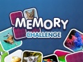 遊戲Memory Challenge