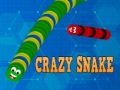 遊戲Crazy Snake