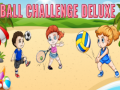 遊戲Ball Challenge Deluxe